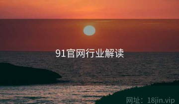 91官网行业解读