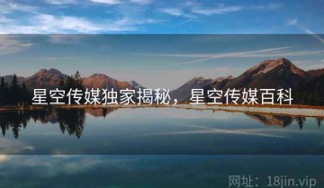 星空传媒独家揭秘，星空传媒百科