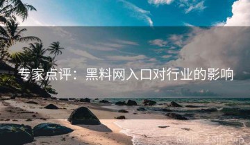 专家点评：黑料网入口对行业的影响