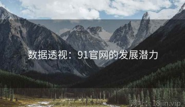 数据透视：91官网的发展潜力