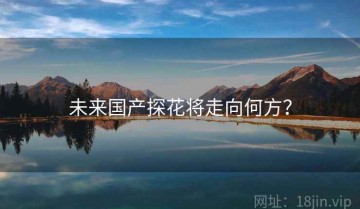 未来国产探花将走向何方？