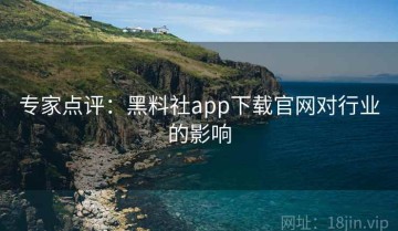 专家点评：黑料社app下载官网对行业的影响