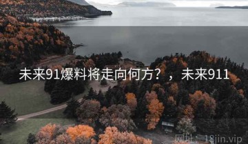 未来91爆料将走向何方？，未来911