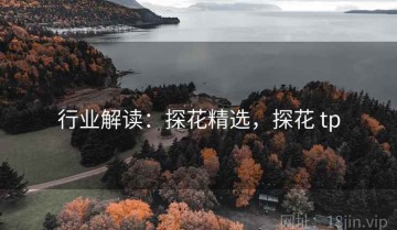 行业解读：探花精选，探花 tp