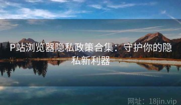 P站浏览器隐私政策合集：守护你的隐私新利器
