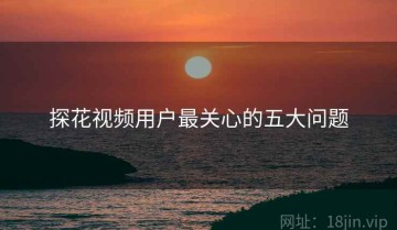 探花视频用户最关心的五大问题