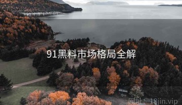 91黑料市场格局全解