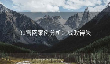 91官网案例分析：成败得失