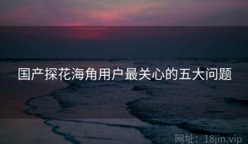 国产探花海角用户最关心的五大问题
