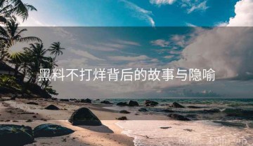 黑料不打烊背后的故事与隐喻