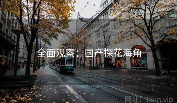 全面观察：国产探花海角