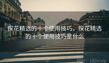 探花精选的十个使用技巧，探花精选的十个使用技巧是什么