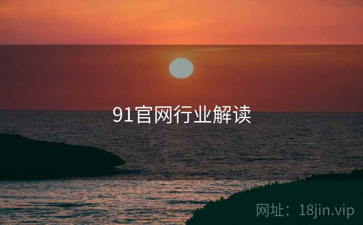 91官网行业解读