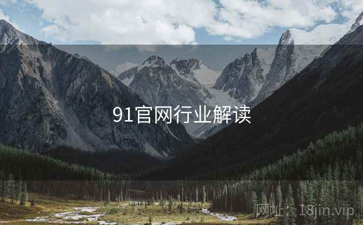 91官网行业解读