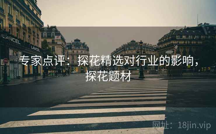 专家点评：探花精选对行业的影响，探花题材