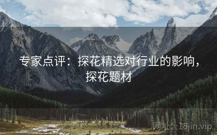 专家点评：探花精选对行业的影响，探花题材