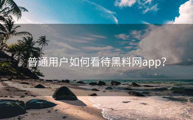 普通用户如何看待黑料网app？