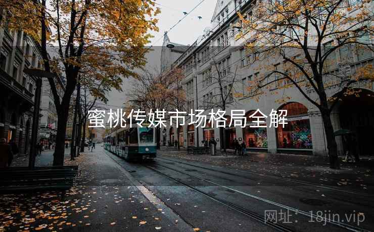 蜜桃传媒市场格局全解
