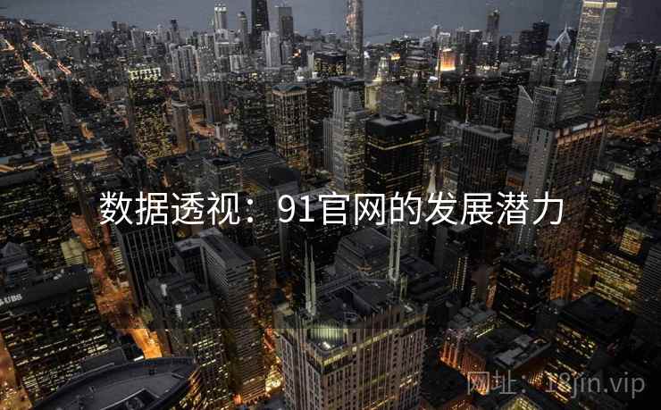数据透视：91官网的发展潜力