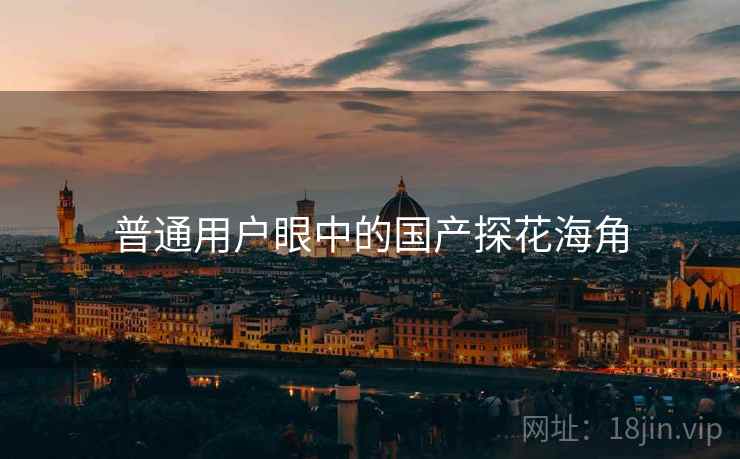 普通用户眼中的国产探花海角