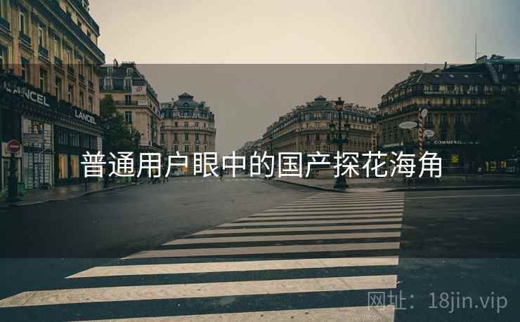 普通用户眼中的国产探花海角