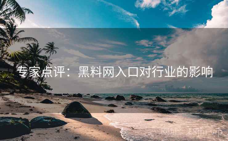 专家点评：黑料网入口对行业的影响