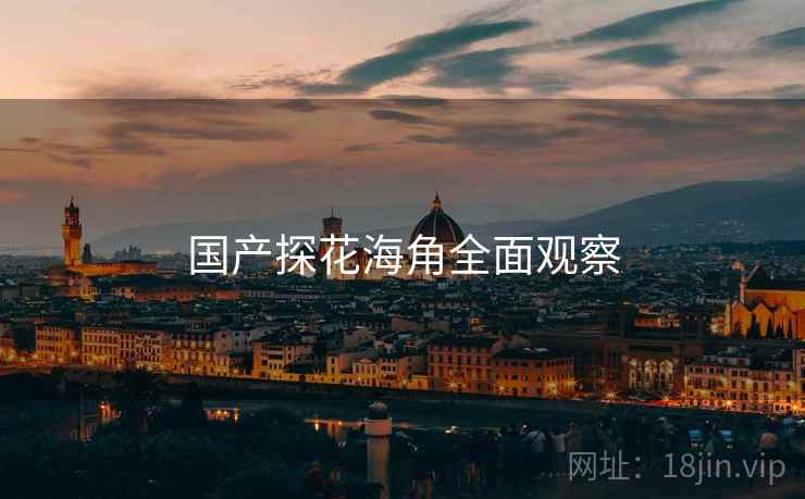 国产探花海角全面观察