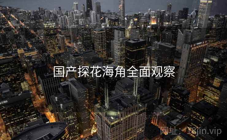 国产探花海角全面观察
