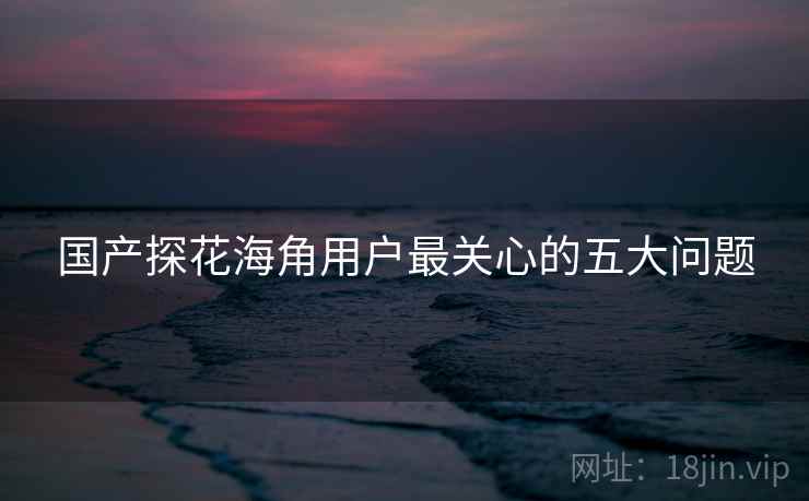 国产探花海角用户最关心的五大问题