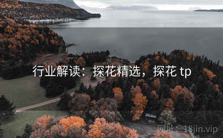 行业解读：探花精选，探花 tp