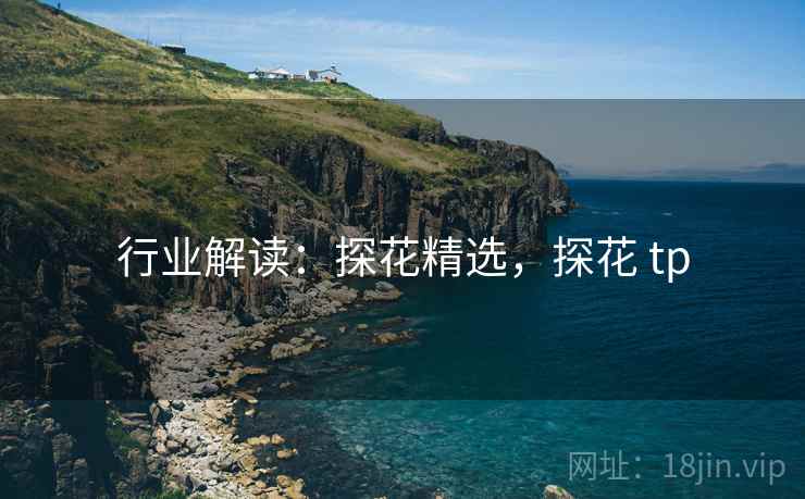 行业解读：探花精选，探花 tp