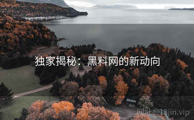 独家揭秘：黑料网的新动向
