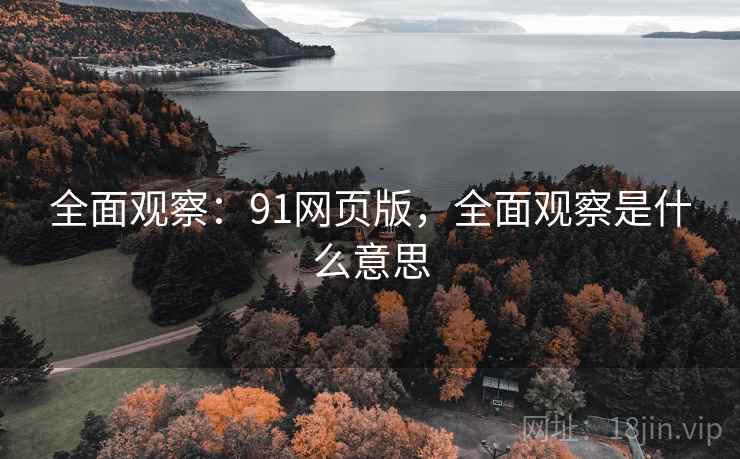 全面观察：91网页版，全面观察是什么意思