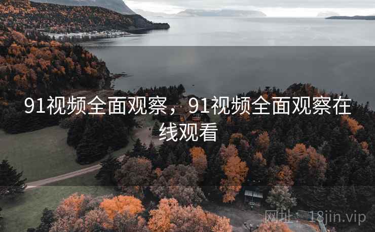 91视频全面观察，91视频全面观察在线观看