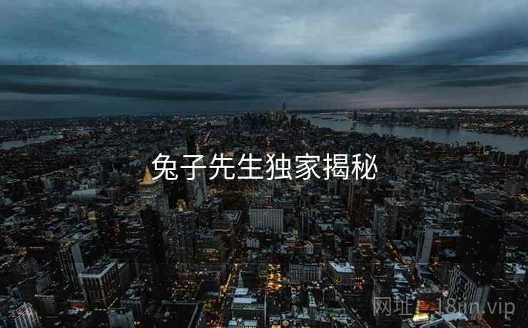 兔子先生独家揭秘