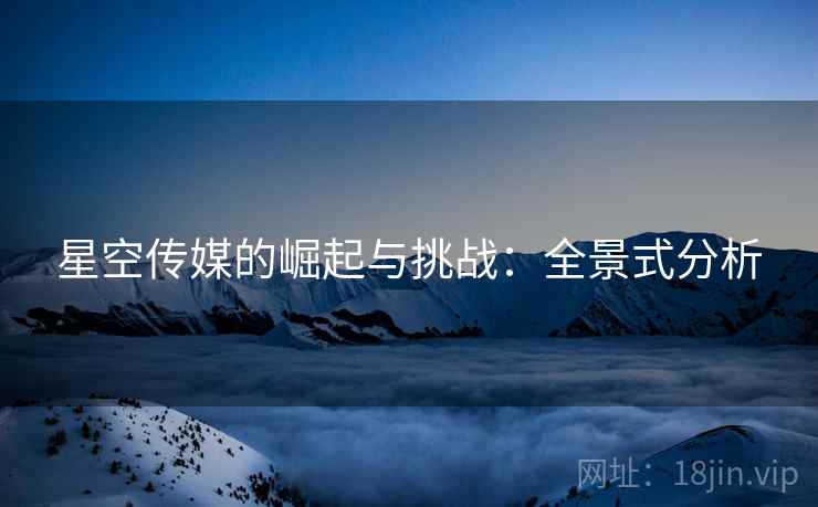星空传媒的崛起与挑战：全景式分析