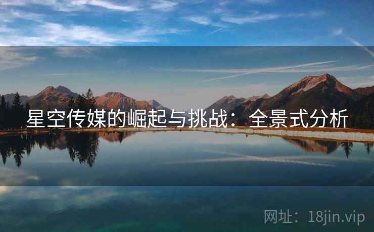 星空传媒的崛起与挑战：全景式分析