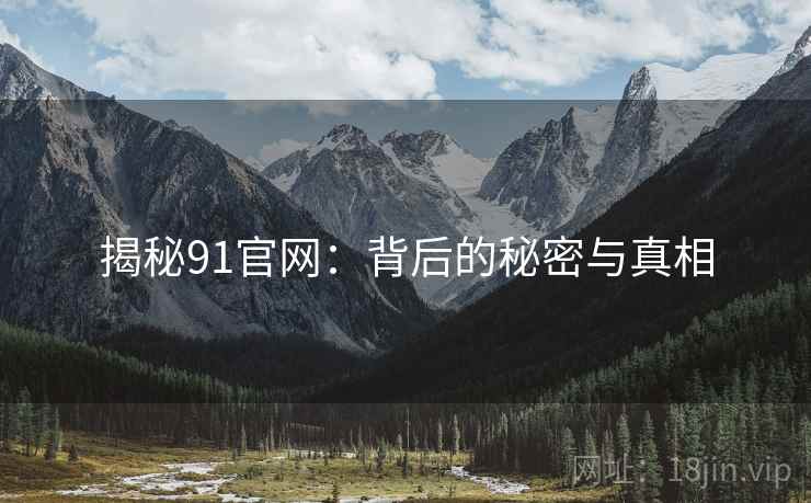 揭秘91官网：背后的秘密与真相