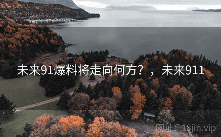 未来91爆料将走向何方？，未来911