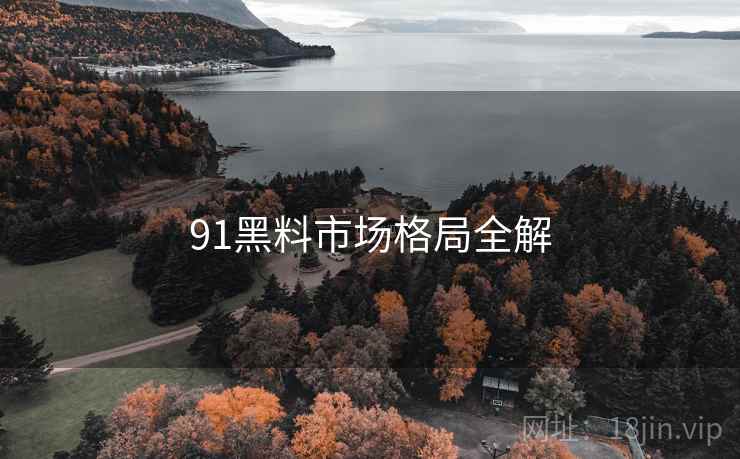 91黑料市场格局全解
