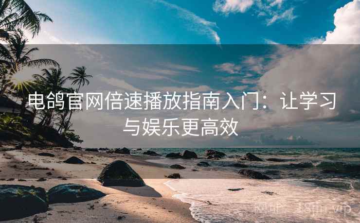 电鸽官网倍速播放指南入门：让学习与娱乐更高效