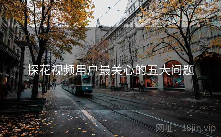 探花视频用户最关心的五大问题