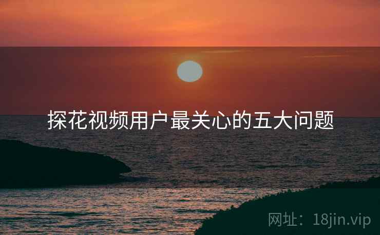 探花视频用户最关心的五大问题