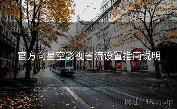 官方向星空影视省流设置指南说明