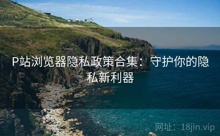 P站浏览器隐私政策合集：守护你的隐私新利器